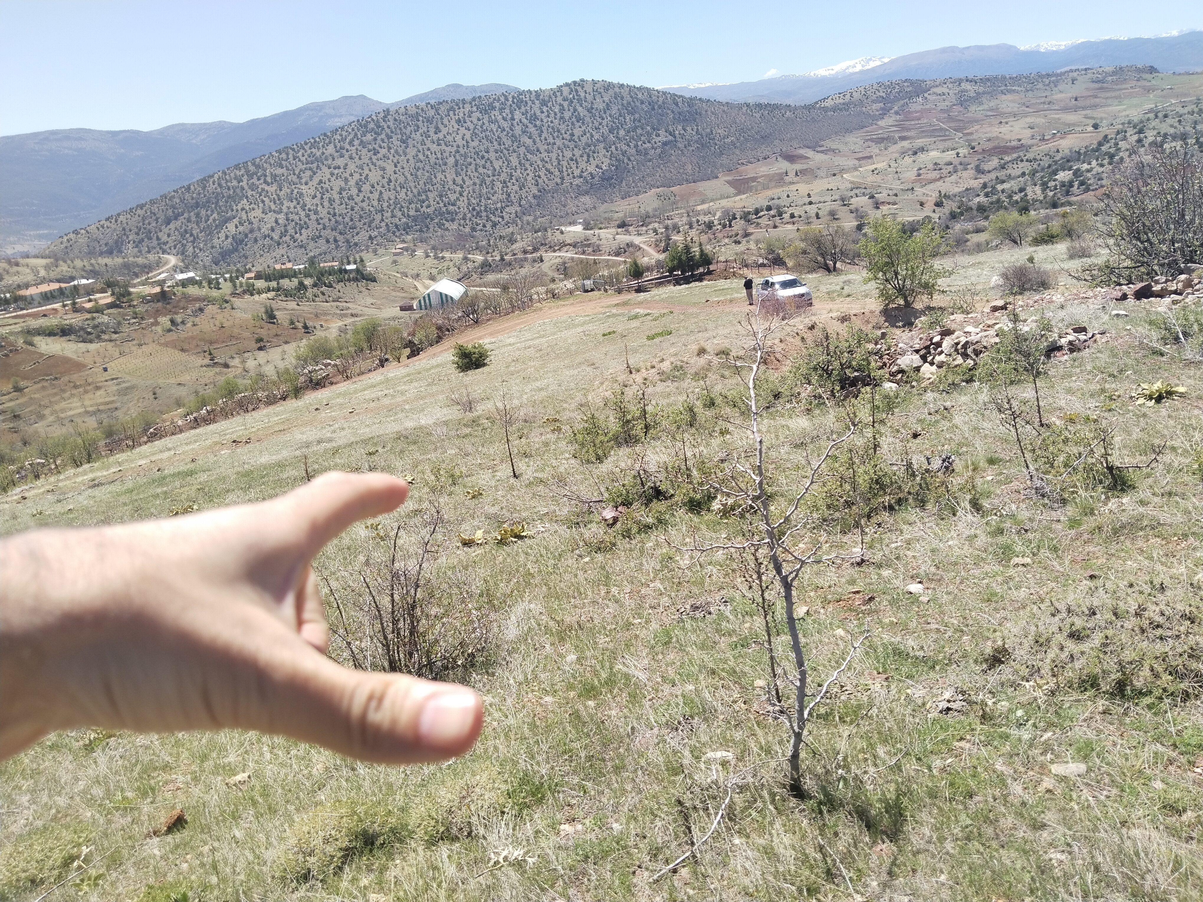 İlan Fotoğrafı